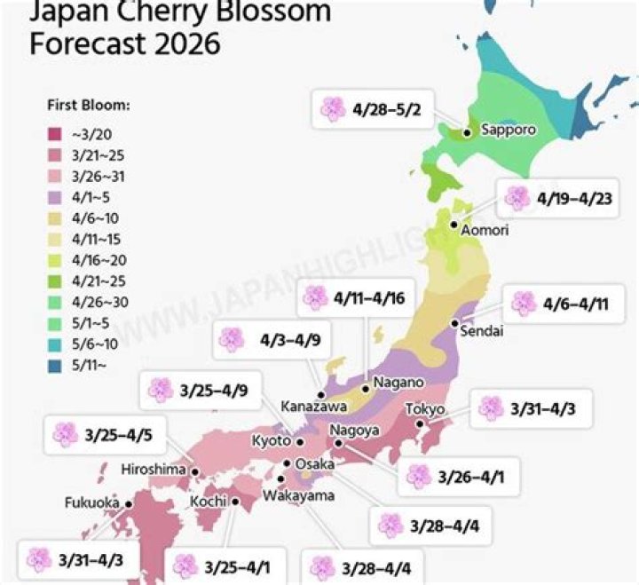 愛知県の花火「今日どこ」2026年7月25日版：週末の夜空を探す